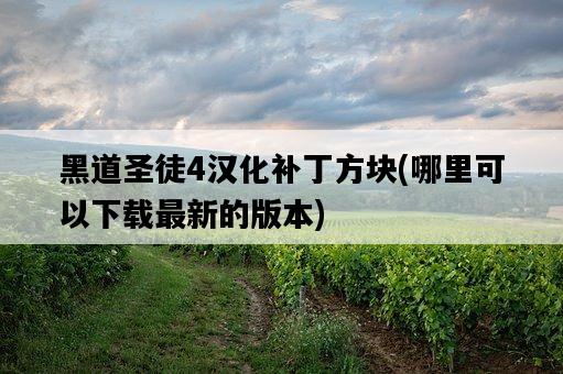 黑道圣徒4漢化補丁方塊，哪里可以下載最新的版本-圖1