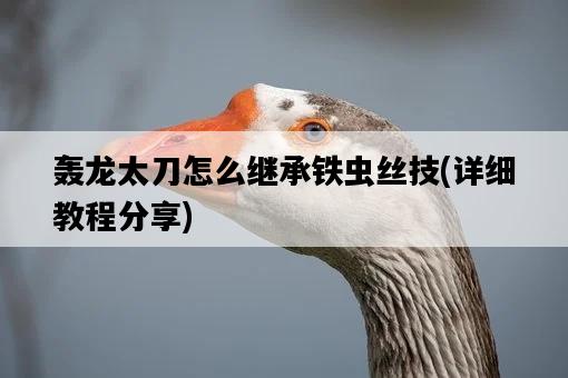 轟龍太刀怎么繼承鐵蟲絲技，詳細教程分享-圖1