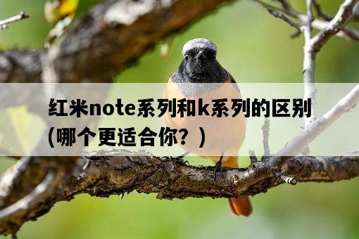 紅米note系列和k系列的區別，哪個更適合你？-圖1