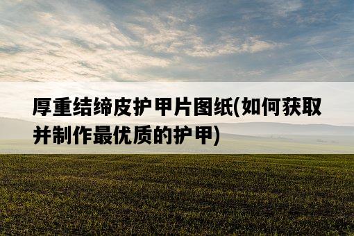 厚重結締皮護甲片圖紙，如何獲取并制作最優質的護甲-圖1