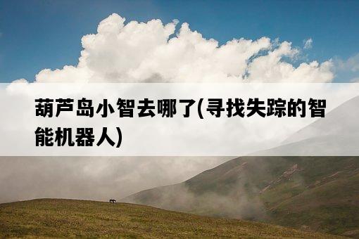 葫蘆島小智去哪了，尋找失蹤的智能機器人-圖1