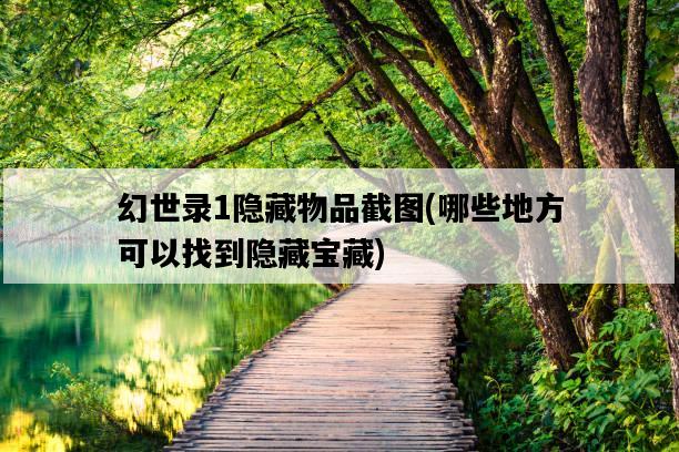 幻世錄1隱藏物品截圖，哪些地方可以找到隱藏寶藏-圖1