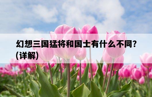 幻想三國猛將和國士有什么不同？，詳解-圖1