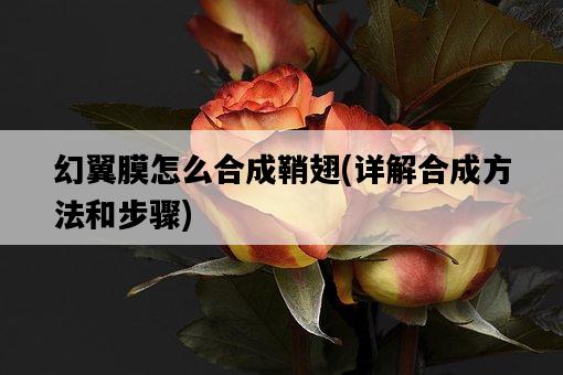 幻翼膜怎么合成鞘翅，詳解合成方法和步驟-圖1