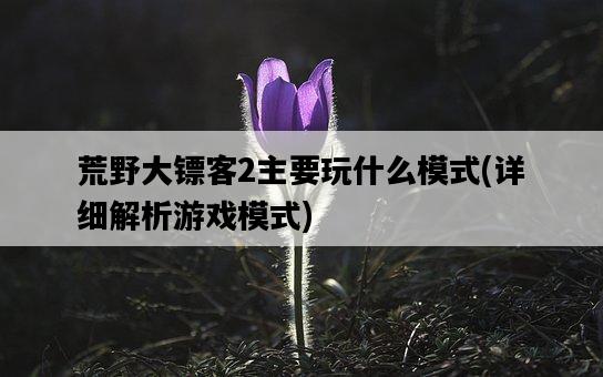 荒野大鏢客2主要玩什么模式，詳細解析游戲模式-圖1
