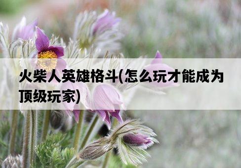 火柴人英雄格斗，怎么玩才能成為頂級玩家-圖1