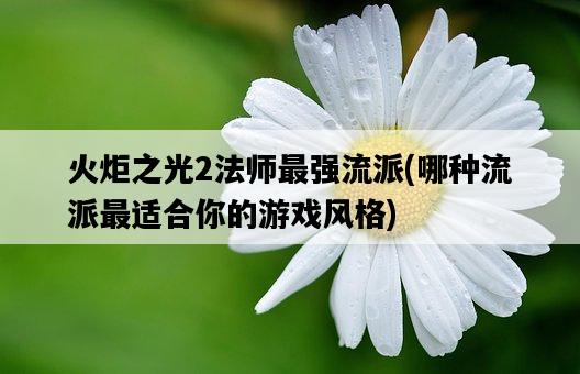 火炬之光2法師最強流派，哪種流派最適合你的游戲風格-圖1
