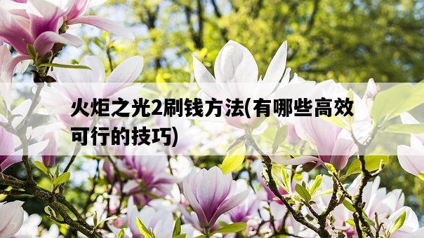 火炬之光2刷錢方法，有哪些高效可行的技巧-圖1