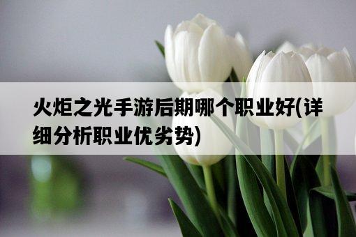 火炬之光手游后期哪個職業好,詳細分析職業優劣勢-圖1 火炬之光手游后期哪個職業好,詳細分析職業優劣勢-圖1