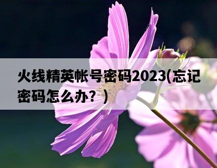 火線精英帳號密碼2023，忘記密碼怎么辦？-圖1