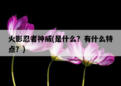 火影忍者神威，是什么？有什么特點？-圖1