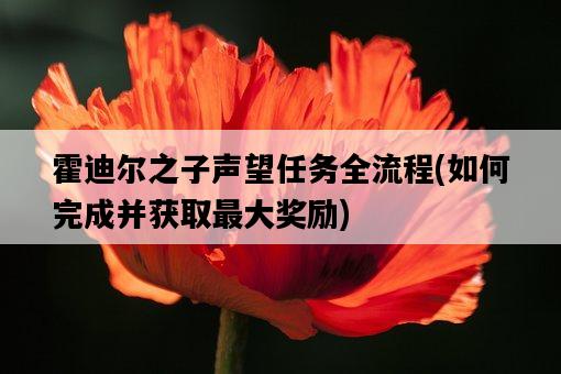 霍迪爾之子聲望任務全流程，如何完成并獲取最大獎勵-圖1