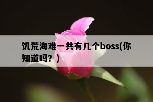饑荒海難一共有幾個boss，你知道嗎？-圖1