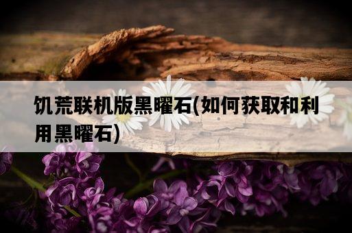 饑荒聯機版黑曜石，如何獲取和利用黑曜石-圖1