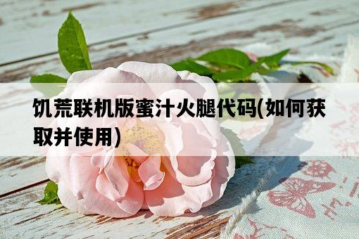 饑荒聯機版蜜汁火腿代碼,如何獲取并使用-圖1 饑荒聯機版蜜汁火腿代碼,如何獲取并使用-圖1