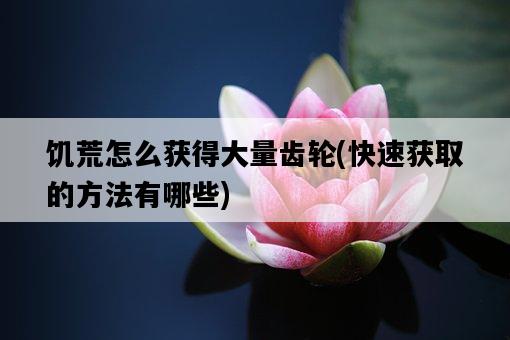 饑荒怎么獲得大量齒輪，快速獲取的方法有哪些-圖1