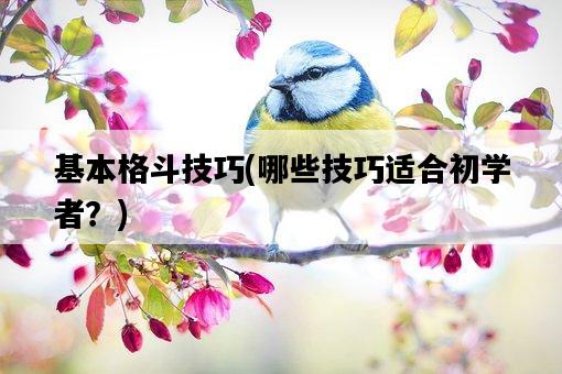 基本格斗技巧,哪些技巧適合初學者?-圖1 基本格斗技巧,哪些技巧適合初學者?-圖1