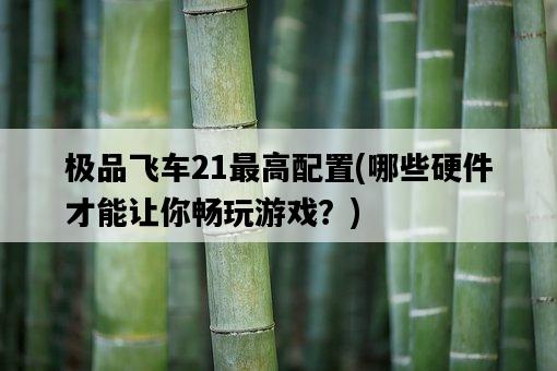 極品飛車21最高配置，哪些硬件才能讓你暢玩游戲？-圖1