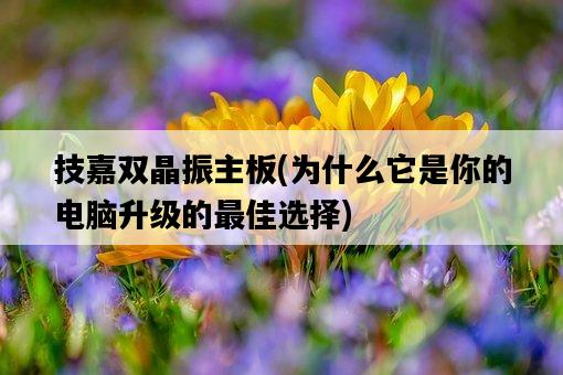 技嘉雙晶振主板，為什么它是你的電腦升級的最佳選擇-圖1