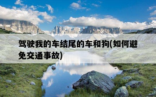 駕駛我的車結尾的車和狗，如何避免交通事故-圖1