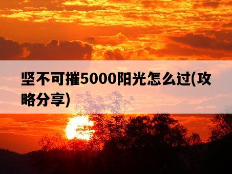 堅不可摧5000陽光怎么過，攻略分享-圖1