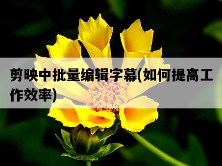 剪映中批量編輯字幕,如何提高工作效率-圖1 剪映中批量編輯字幕,如何提高工作效率-圖1