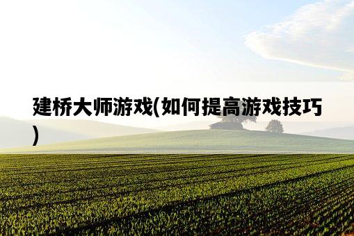 建橋大師游戲，如何提高游戲技巧-圖1