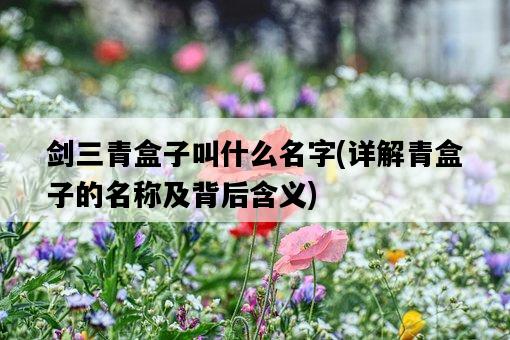 劍三青盒子叫什么名字，詳解青盒子的名稱及背后含義-圖1
