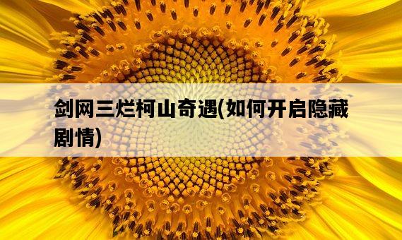 劍網三爛柯山奇遇，如何開啟隱藏劇情-圖1