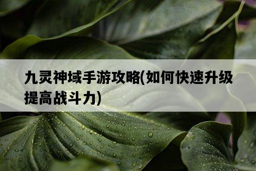 九靈神域手游攻略，如何快速升級提高戰斗力-圖1