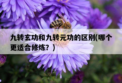 九轉玄功和九轉元功的區別，哪個更適合修煉？-圖1