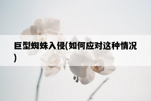 巨型蜘蛛入侵，如何應對這種情況-圖1