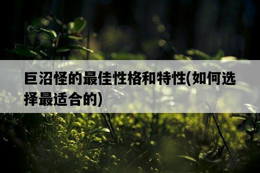 巨沼怪的最佳性格和特性，如何選擇最適合的-圖1