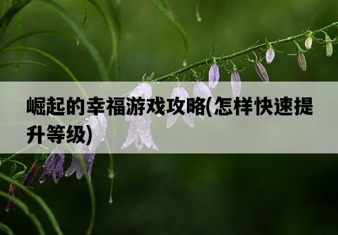 崛起的幸福游戲攻略，怎樣快速提升等級-圖1