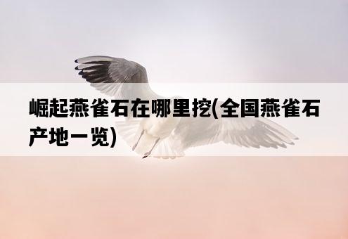 崛起燕雀石在哪里挖,全國燕雀石產地一覽-圖1 崛起燕雀石在哪里挖,全國燕雀石產地一覽-圖1