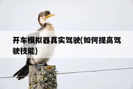 開車模擬器真實駕駛，如何提高駕駛技能-圖1