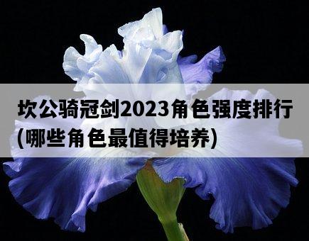 坎公騎冠劍2023角色強度排行，哪些角色最值得培養-圖1