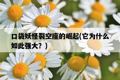 口袋妖怪裂空座的崛起,它為什么如此強大?-圖1 口袋妖怪裂空座的崛起,它為什么如此強大?-圖1