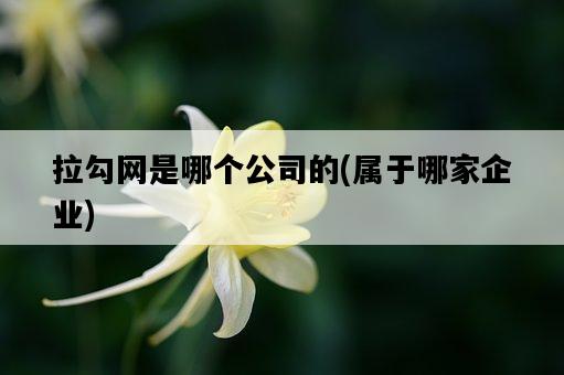 拉勾網是哪個公司的，屬于哪家企業-圖1