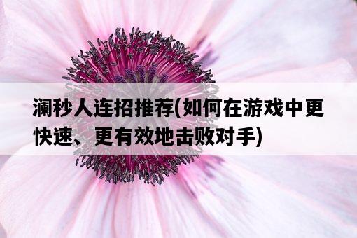瀾秒人連招推薦，如何在游戲中更快速、更有效地擊敗對手-圖1