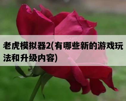 老虎模擬器2，有哪些新的游戲玩法和升級內容-圖1