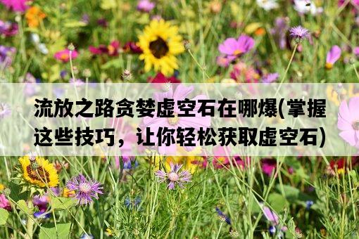 流放之路貪婪虛空石在哪爆，掌握這些技巧，讓你輕松獲取虛空石-圖1