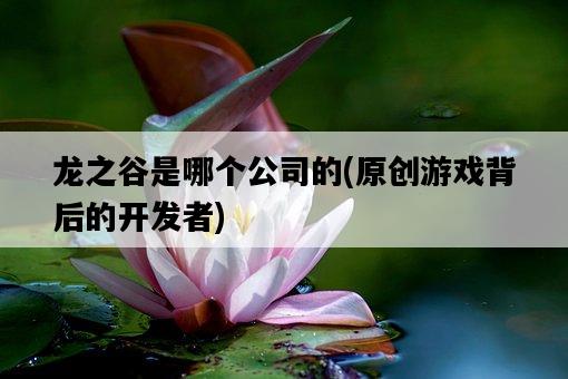 龍之谷是哪個公司的，原創游戲背后的開發者-圖1