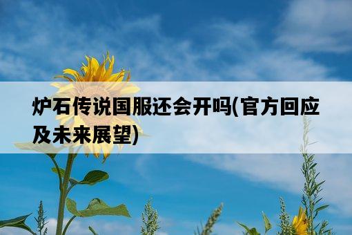 爐石傳說國服還會開嗎，官方回應及未來展望-圖1