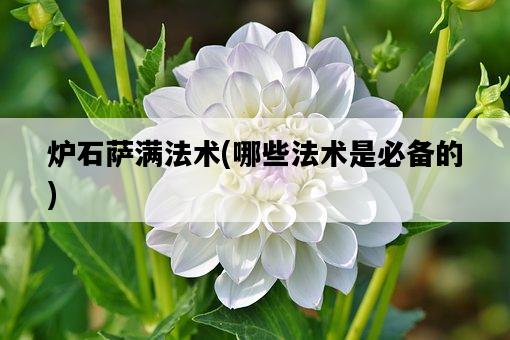 爐石薩滿法術，哪些法術是必備的-圖1