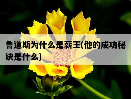 魯道斯為什么是薪王，他的成功秘訣是什么-圖1