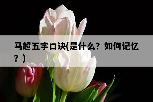 馬超五字口訣，是什么？如何記憶？-圖1