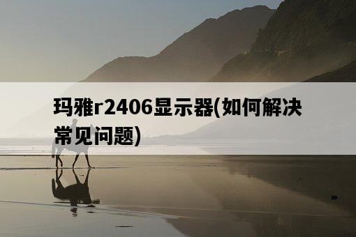 瑪雅r2406顯示器，如何解決常見問題-圖1