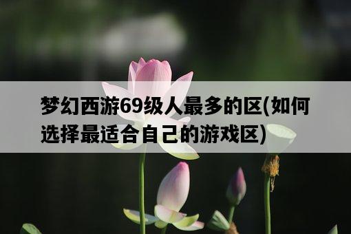 夢幻西游69級人最多的區，如何選擇最適合自己的游戲區-圖1