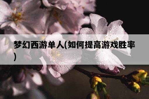 夢幻西游單人，如何提高游戲勝率-圖1
